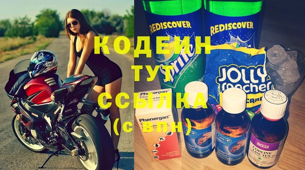 дмт Лиски