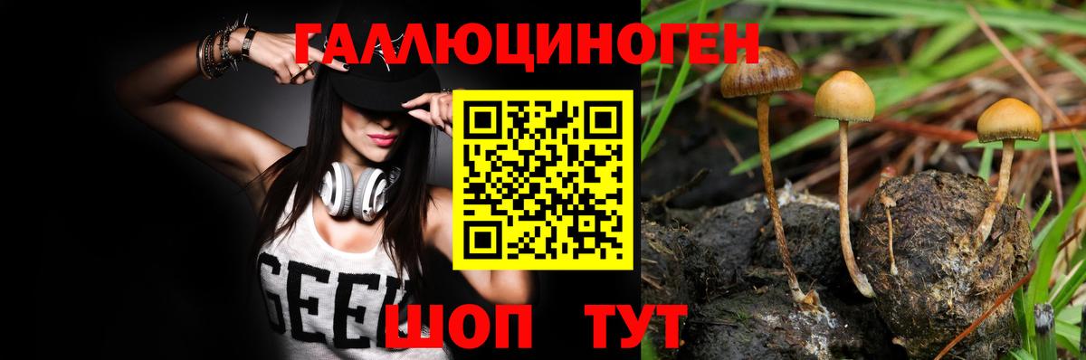 Галлюциногенные грибы прущие грибы  Псилоцибиновые грибы мухоморы  Вход с VPN  Малгобек 